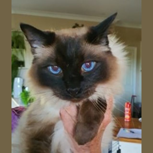 Photo of Moe