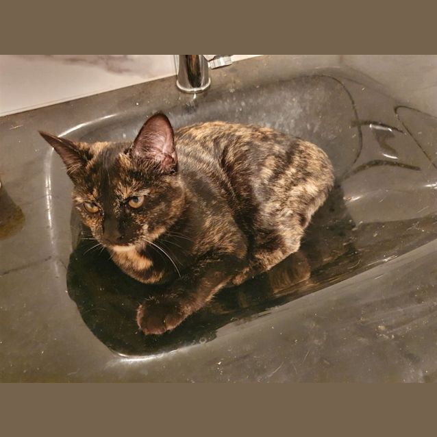 Photo of Tia