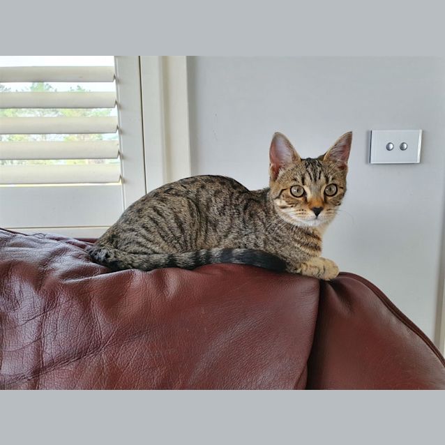 Photo of Tiggy