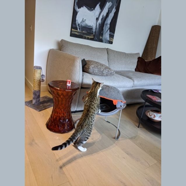 Photo of Julian