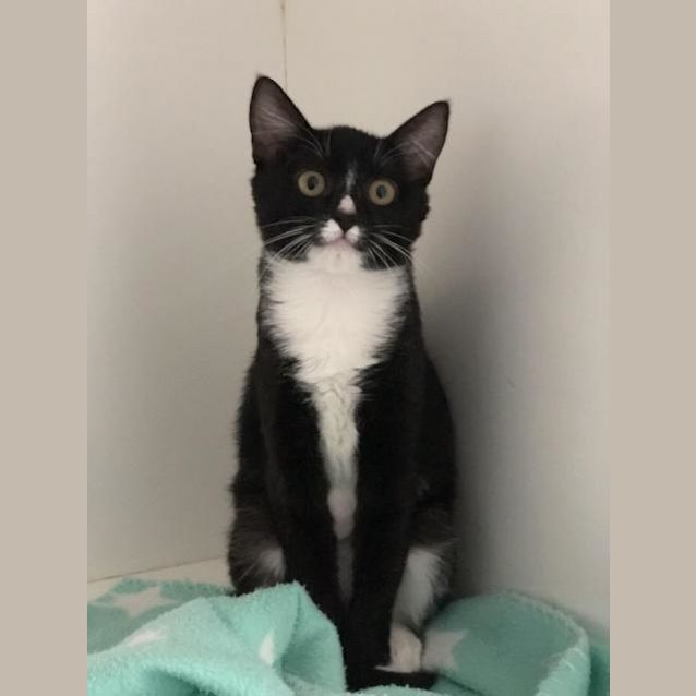 Photo of Star