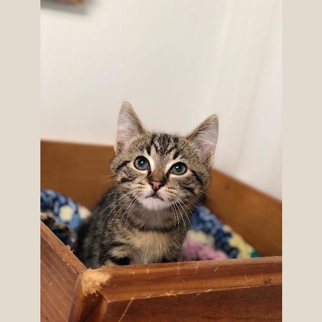 Photo of Bruno