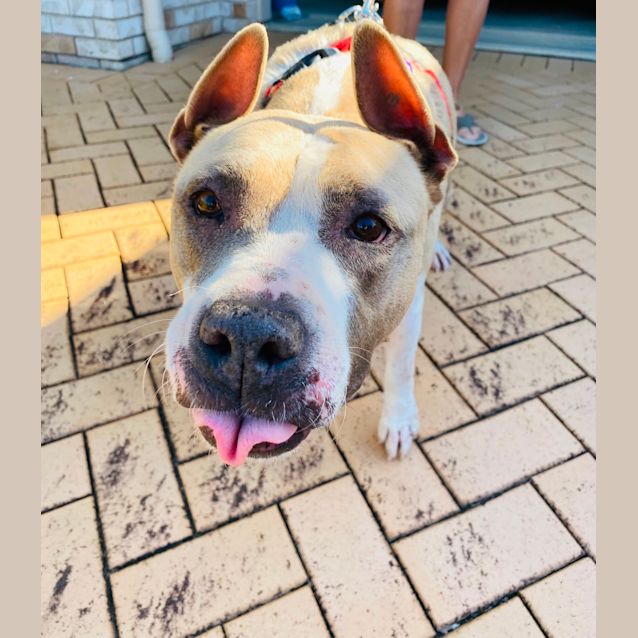 Photo of Cleo 💕💕