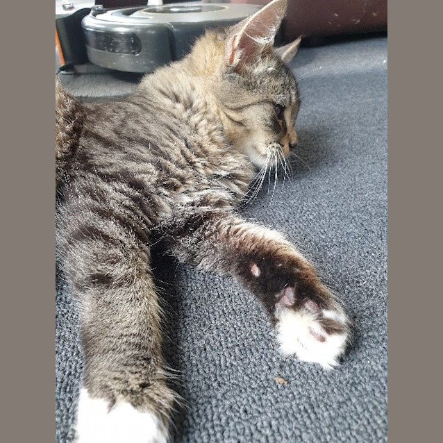 Photo of Wolfgang (Wolfie) Applications Closed 