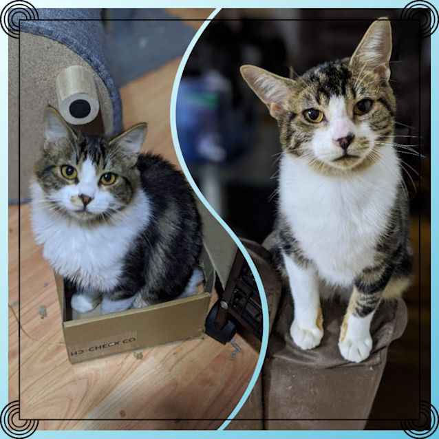 Photo of Ianto And Boe ❤❤