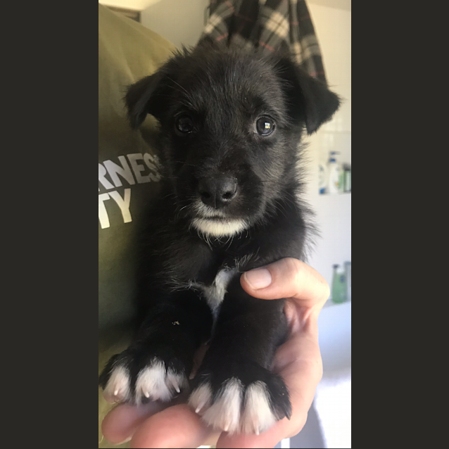 Photo of Barnaby
