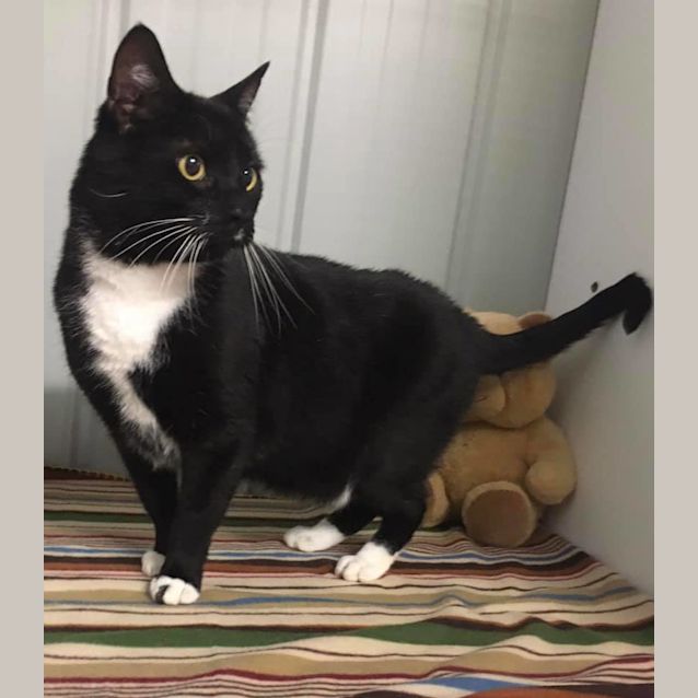 Photo of Sir Thomas (Tommy)