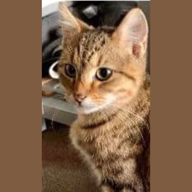 Photo of Marvin 