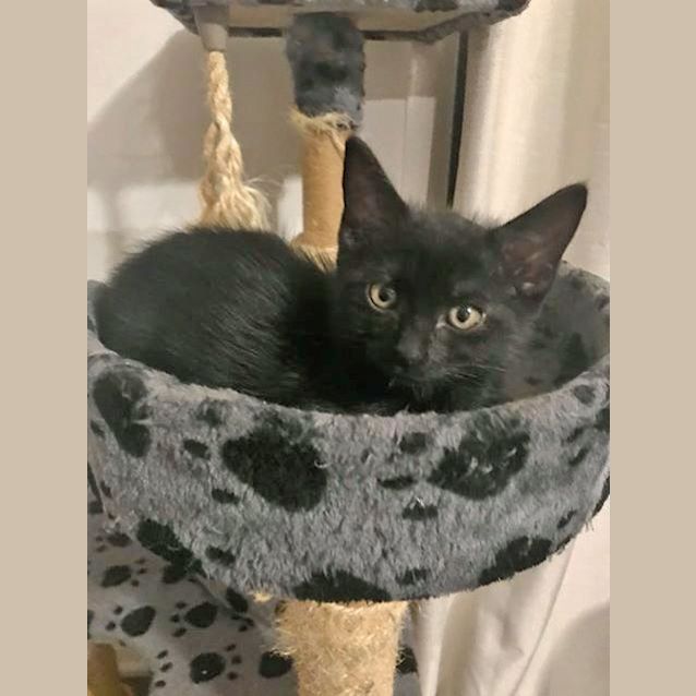 Photo of Blossom 