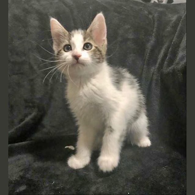 Photo of Maizie 