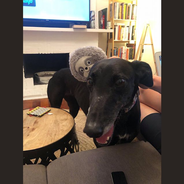 Photo of Shadow.   Melbourne 