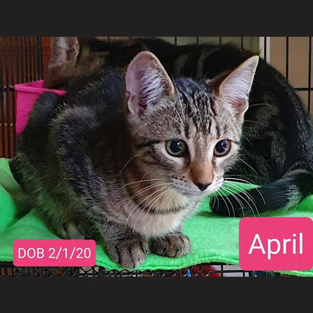 Photo of April
