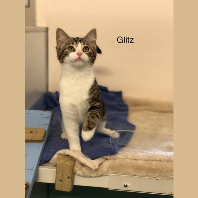 Photo of Glitz