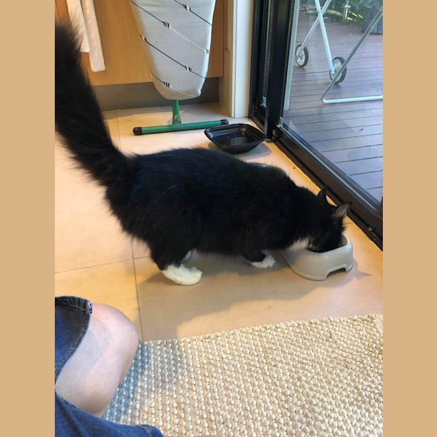Photo of Sassy