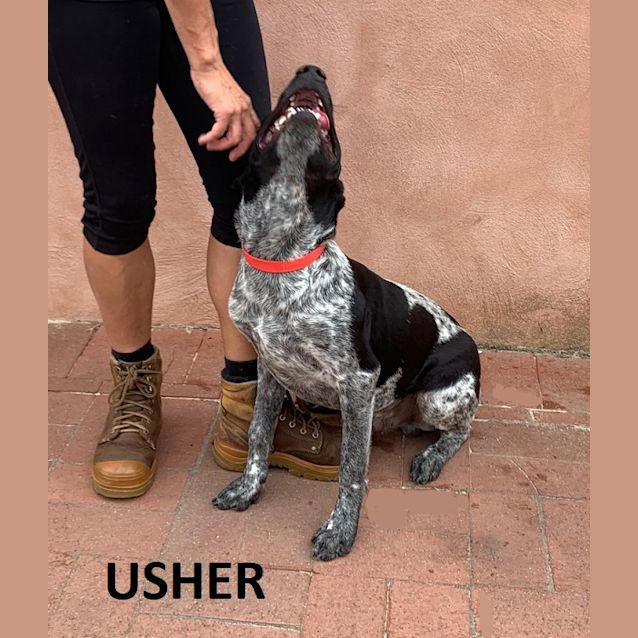 Photo of Usher