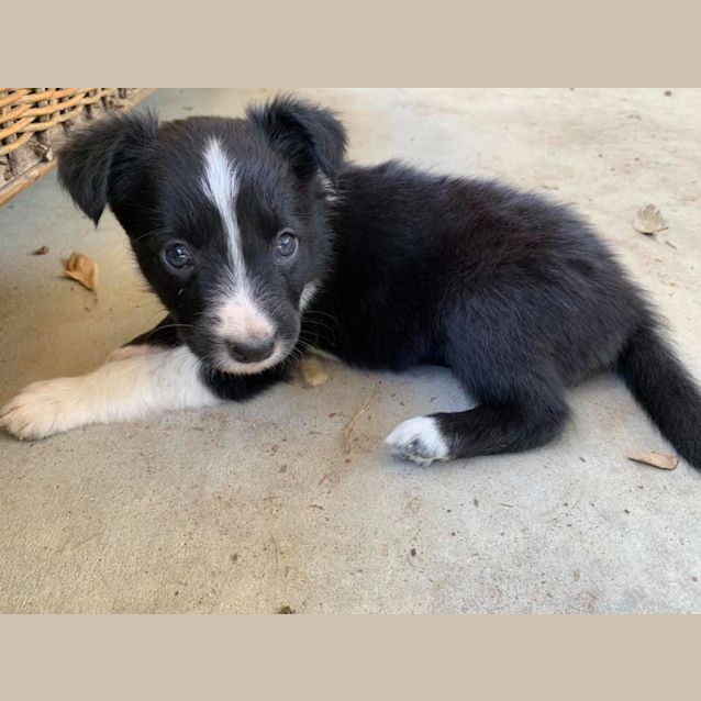 Photo of Yahtzee