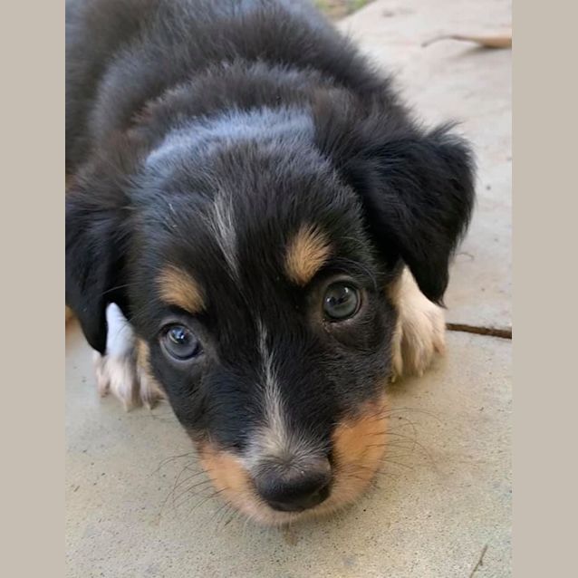 Photo of Jenga