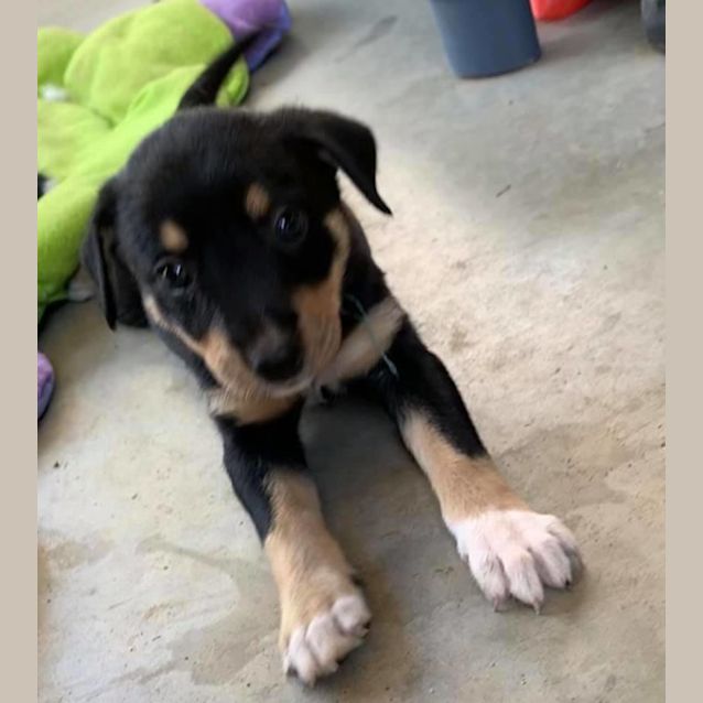 Photo of Darts