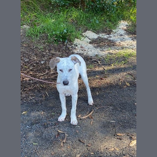 Photo of Wally