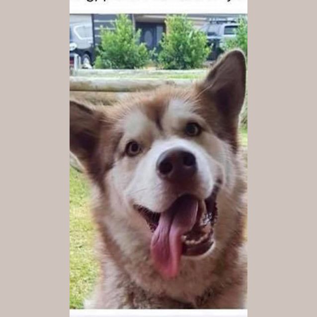 Photo of Dakota