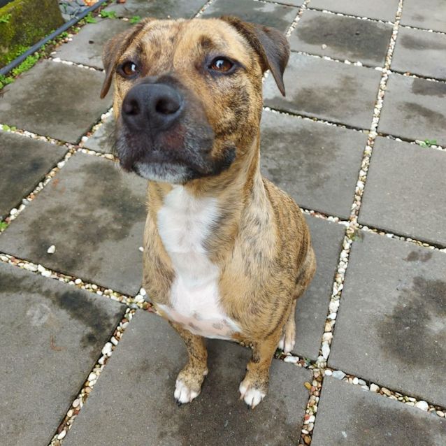 Photo of Buck 😄😄