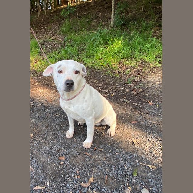 Photo of Snowy