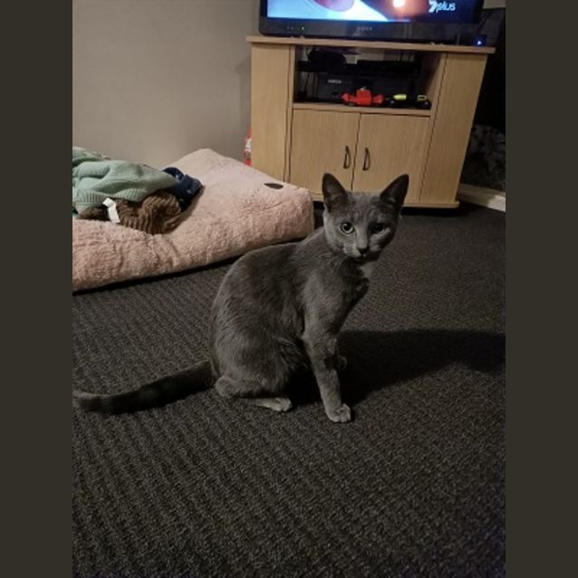 Photo of Delilah