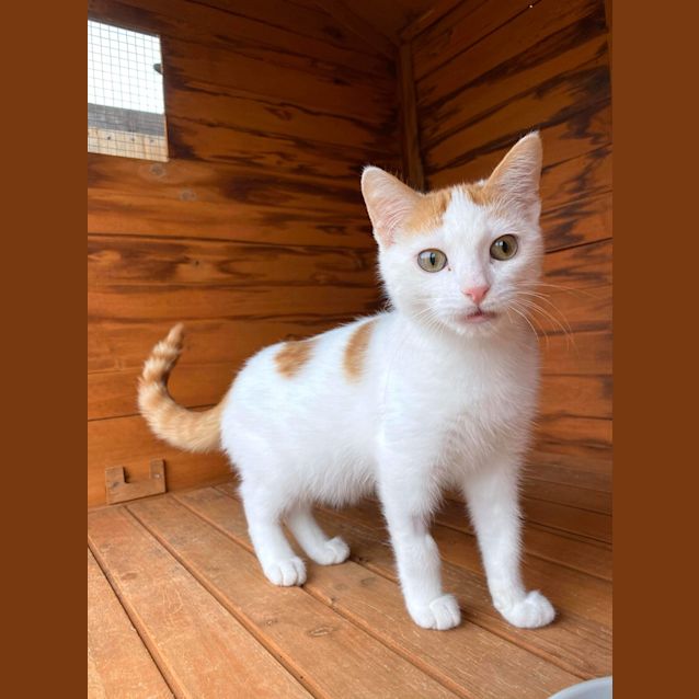 Photo of Bounty