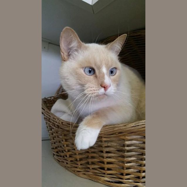Photo of Leroy
