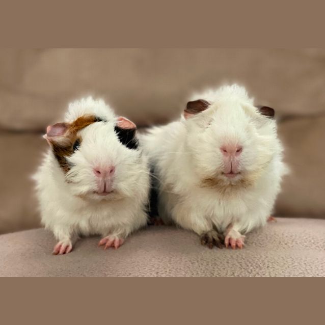 Photo of Randall And Mike 