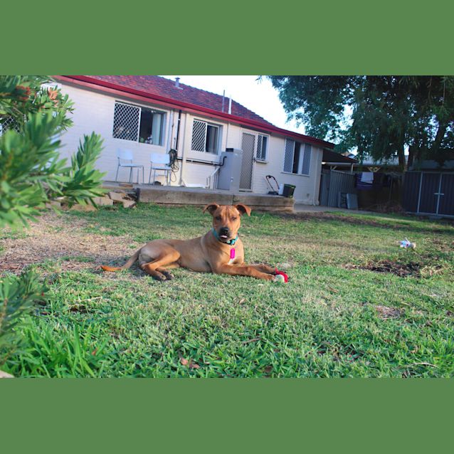 Photo of Hudson Dl2435