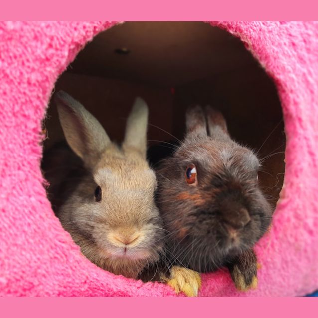 Photo of Wentworth And Skylar