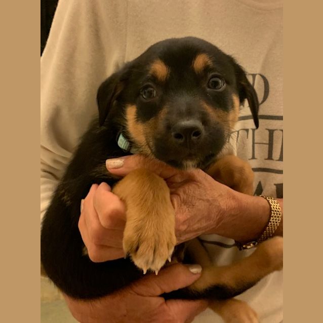Photo of Finn