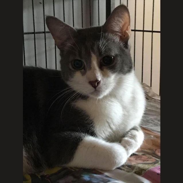 Photo of Skittles