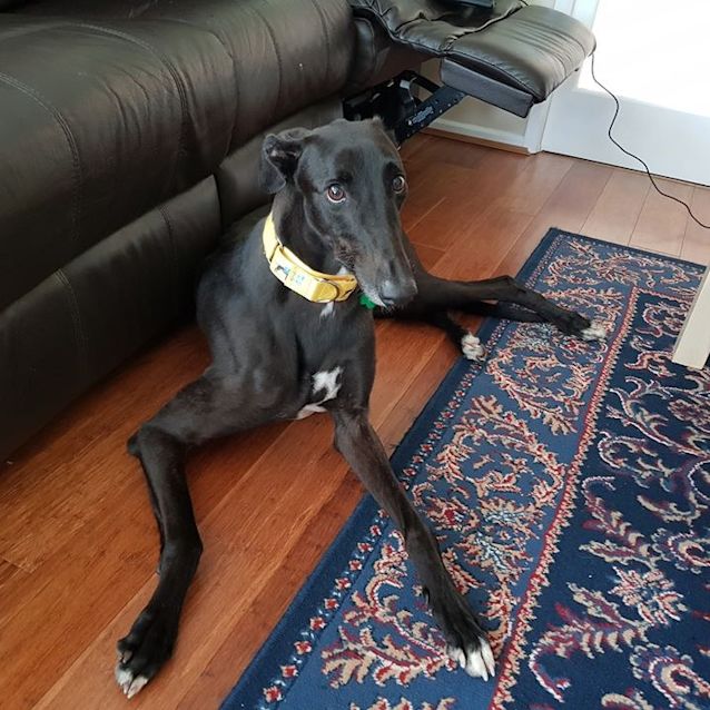 Photo of Gnocchi (In Foster)