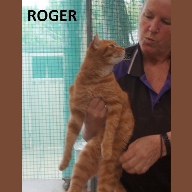 Photo of Roger
