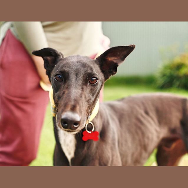 Photo of Dudley