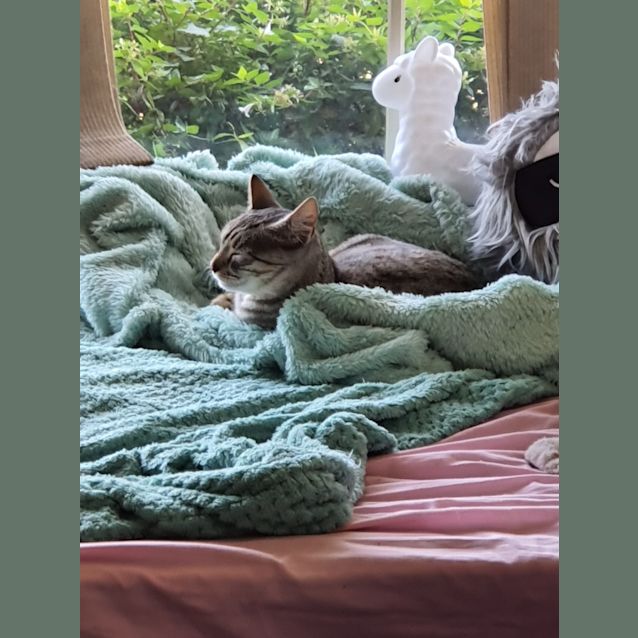 Photo of Rosie