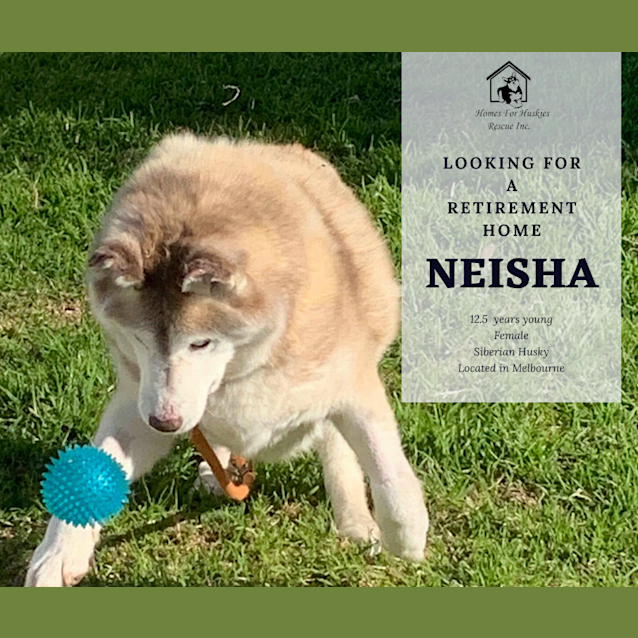 Photo of Neisha