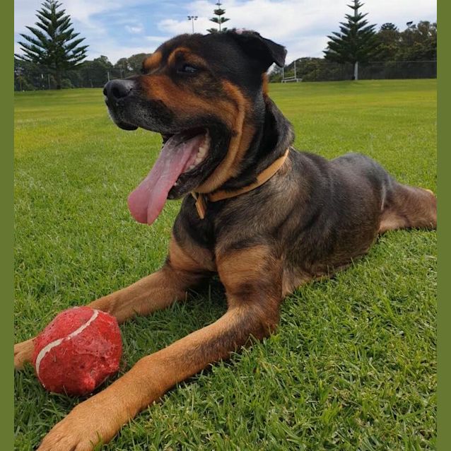 Photo of Ruddle