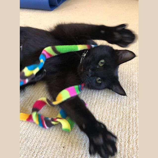 Photo of Mimi