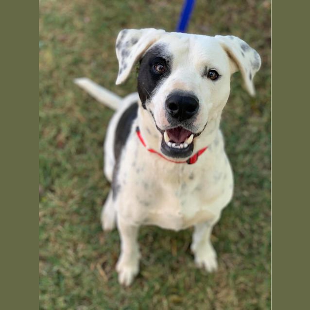 Photo of Patch