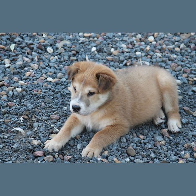 Photo of Artie