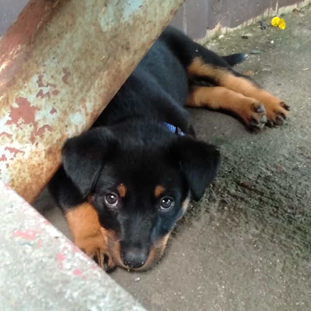 Photo of Theodore