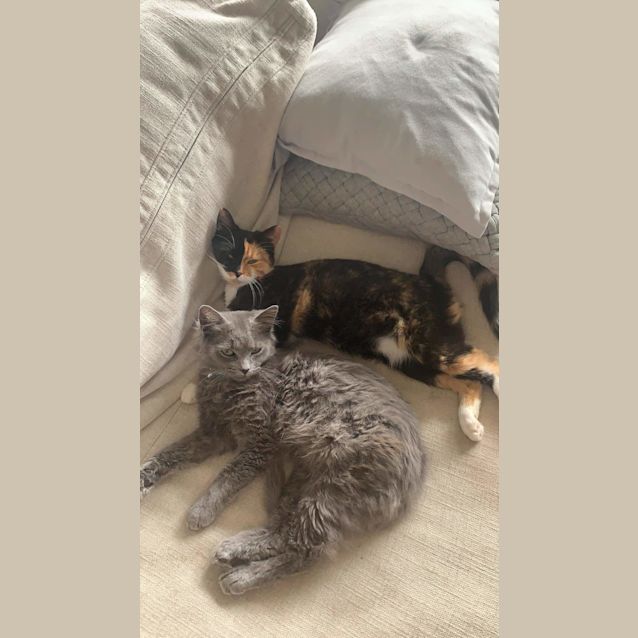 Photo of Spice