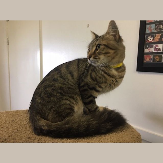 Photo of Flash   K117292