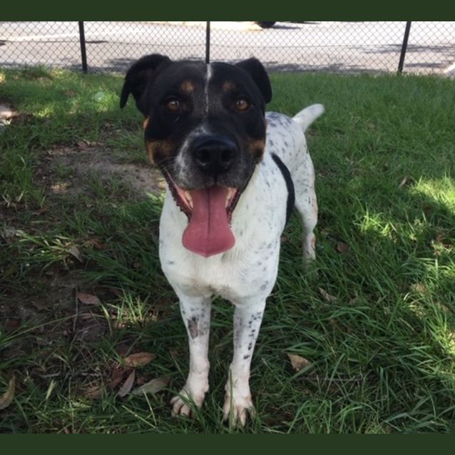 Photo of Doug   K127252