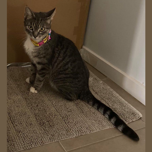 Photo of Kiara
