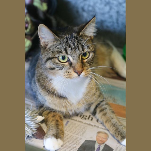 Photo of Pip