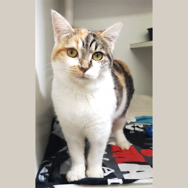 Photo of Penny